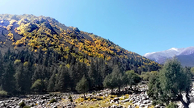 天祝游记图片] 天祝冰沟河