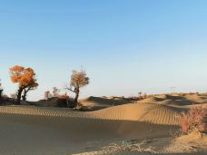 塔里木沙漠公路-且末-JJ77