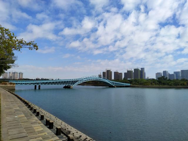 五缘湾湿地公园旅行图片 7
