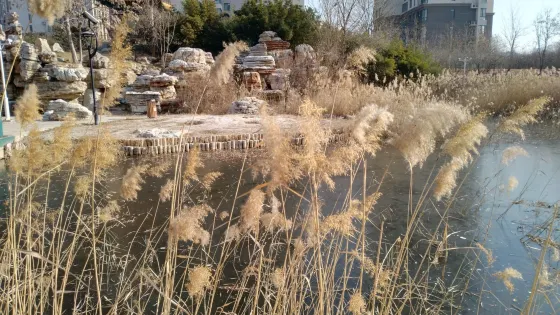 南苑公園