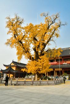 上海报国寺-上海-彪标