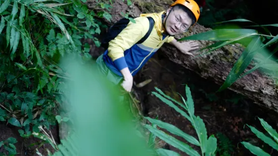 小象雨林