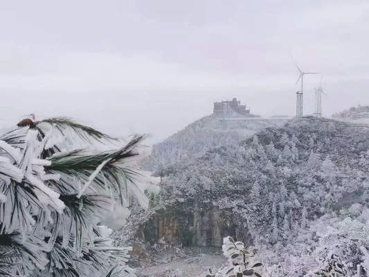 满山尽晶莹 龙里油画大草原现雾凇奇景