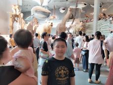 上海自然博物馆-上海-务实社区