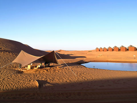 去沙漠看星星吗