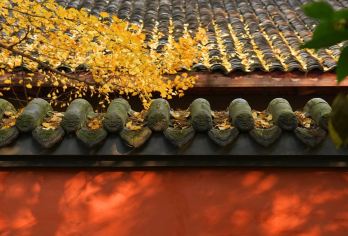 武侯祠+杜甫草堂+金沙遗址一日游包车纯玩成都市区+四环包接送【[品质纯玩]纯玩品质，不进店购物，无强制消费行程透明！】