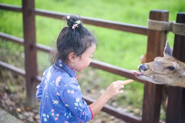 玩转夏日,探访五千年前的神秘城池