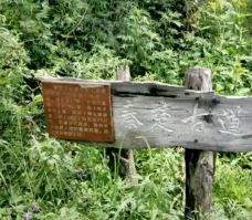 柞水终南山秦楚古道-柞水-世界美食游走达人