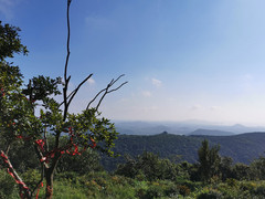 嘉兴游记图片] 嘉兴2021年初秋：高阳山-鹰窠顶徒步翻越行记