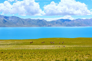极地那曲奇遇之旅，天边偶遇七彩祥云，无人区绝地求生！
