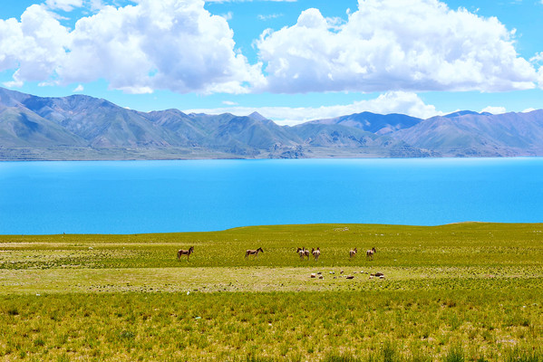 极地那曲奇遇之旅,天边偶遇七彩祥云,无人区绝地求生!