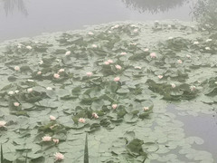 池州游记图片] 妙有分二气，灵山开九华-九华游记