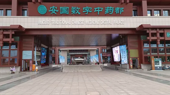 安國市中藥材國貿中心廣場