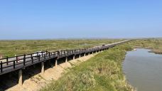 永吴公路-永修-持恒称永 大鱼为鲲