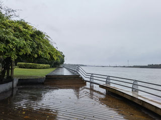 上海奉贤西渡+闵行江川、吴泾一日游