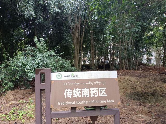 西双版纳南药园旅行图片 7