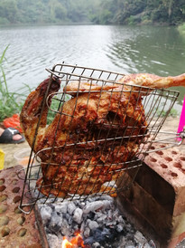 平果游记图片] 夏日炎炎，在平果市芦仙湖边吹着凉风，用炭火烤鸡是最舒爽的