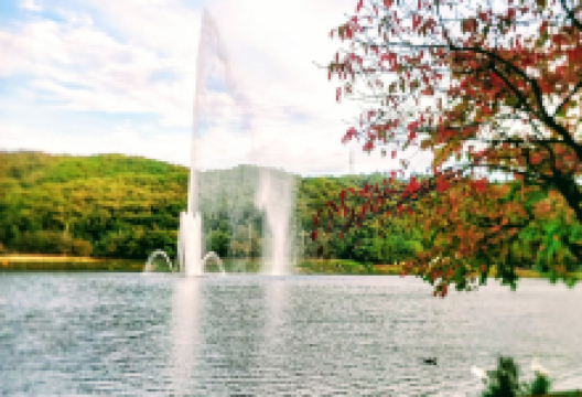 栗洞自然公园景点图片