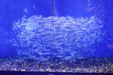 海滨城浩海立方海洋公园-成都-C-IMAGE