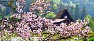 这个春季带上周游券，与中部日本来个不期之遇