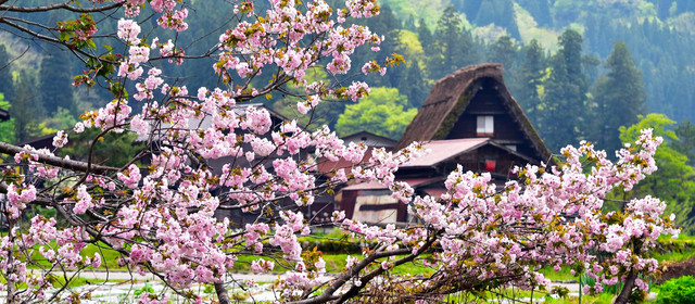 这个春季带上周游券，与中部日本来个不期之遇
