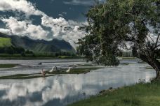 内蒙古乌兰浩特洮儿河国家湿地公园-乌兰浩特