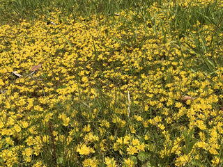 50年前为生活，50年后为自己活精致……蛮喜欢的