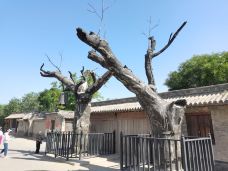 冉庄地道战纪念馆-保定-yjw2000