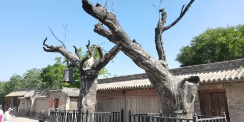 冉莊地道戰紀念館