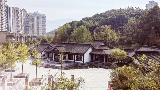 中通公園