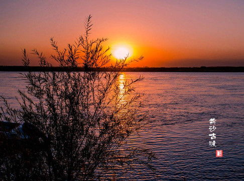 黄沙古渡生态旅游区-银川市必去景点