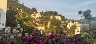 2022之江西五天四晚自驾游(婺源,景德镇)