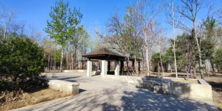 半壁店森林公園