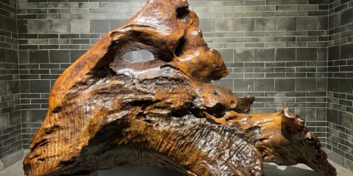 漠陽烏木博物館