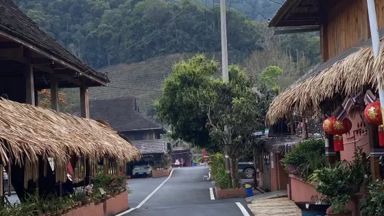 巴飄
