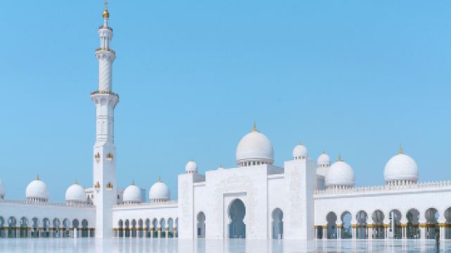 謝赫扎耶德大清真寺
