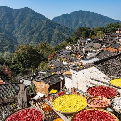 西递+宏村景区+婺源+齐云山景区4日3晚跟团游