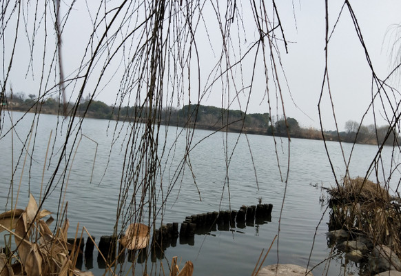 宛山荡,中国水乡塞纳河
