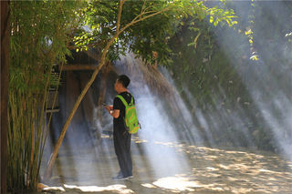 冬日晨光，黎村美景似仙境