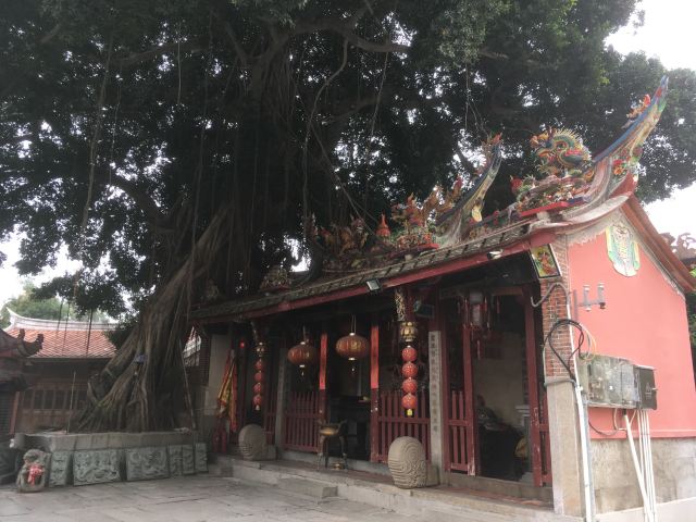 漳州武庙旅行图片 3