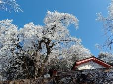 南岳衡山风景名胜区-衡阳-马踏龙雀