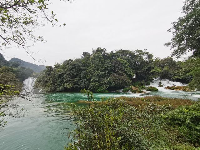 老木棉·紫园景区旅行图片 2