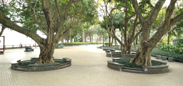 南宁市邕江一桥江滨休闲公园旅行图片 15