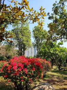 珠江公园-广州-野渡