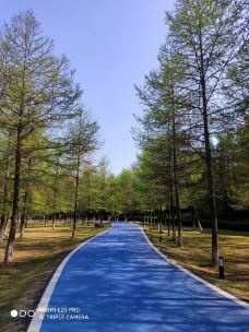 龙背山森林公园-宜兴-繁华丿若灵