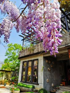 仙山湖风景区-长兴-金111