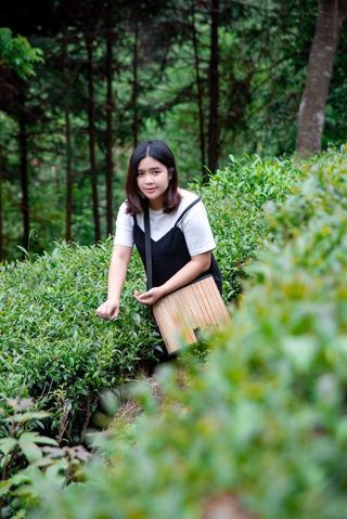 广州周边游丨自驾韶关，一路茶香，在始兴邂逅醉美春色