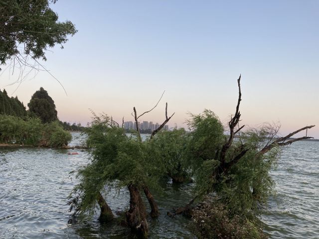 海洪湿地泼水广场旅行图片 3