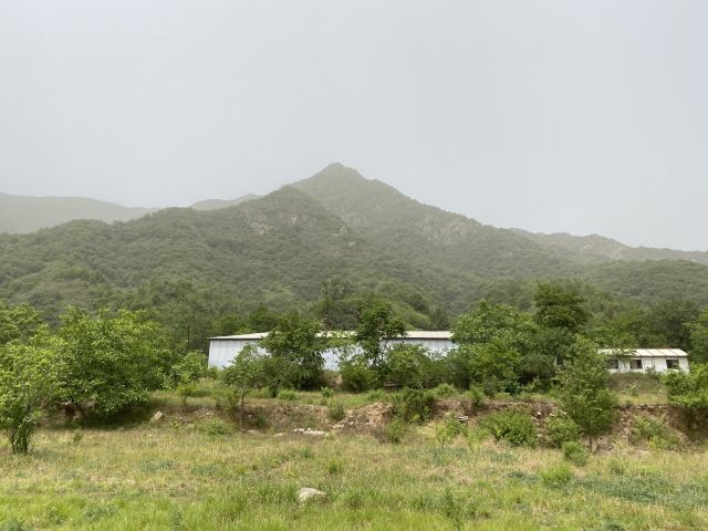 金陵遗址旅行图片 7