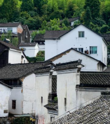 鸬鸟镇游记图文-探访鸬鸟镇的隐秘村落，来感受甜蜜一夏吧